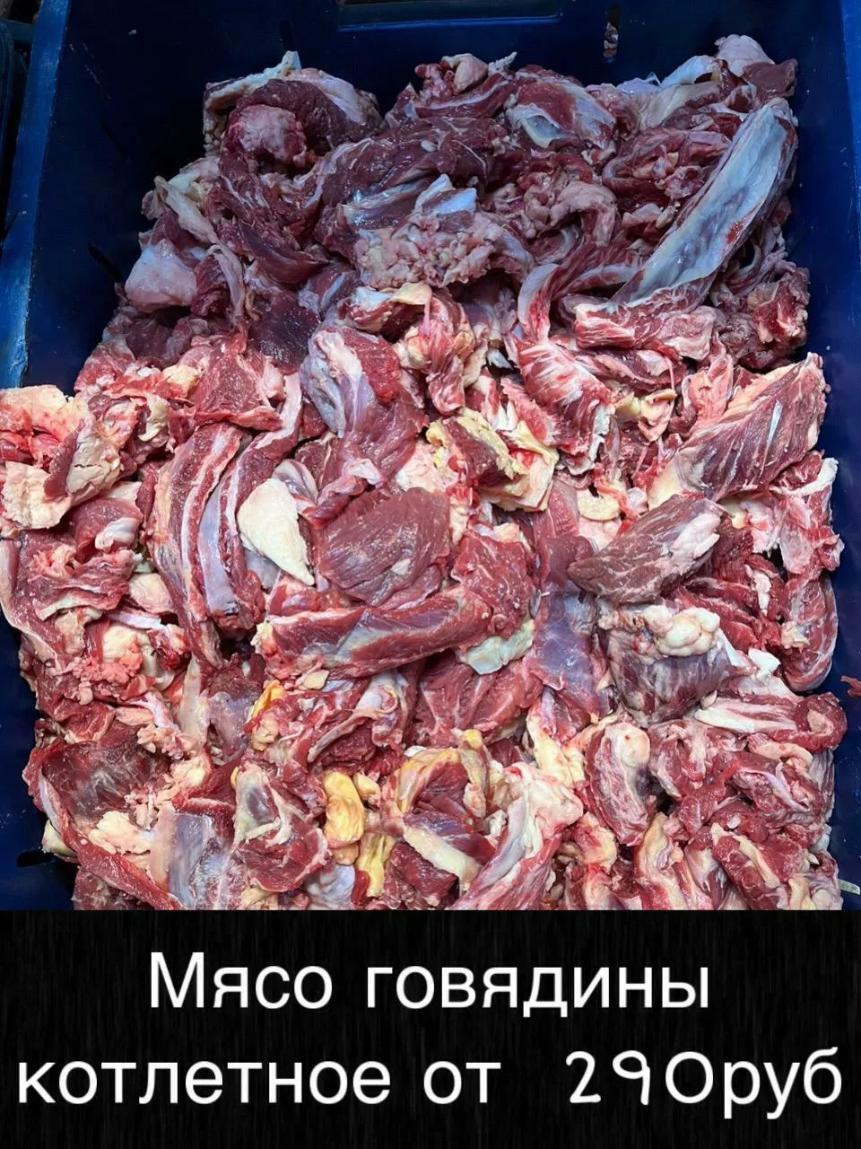 доставим в любой регион - мясо оптом в Иркутске 4