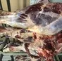 блочное мясо говядины в Усолье-Сибирском