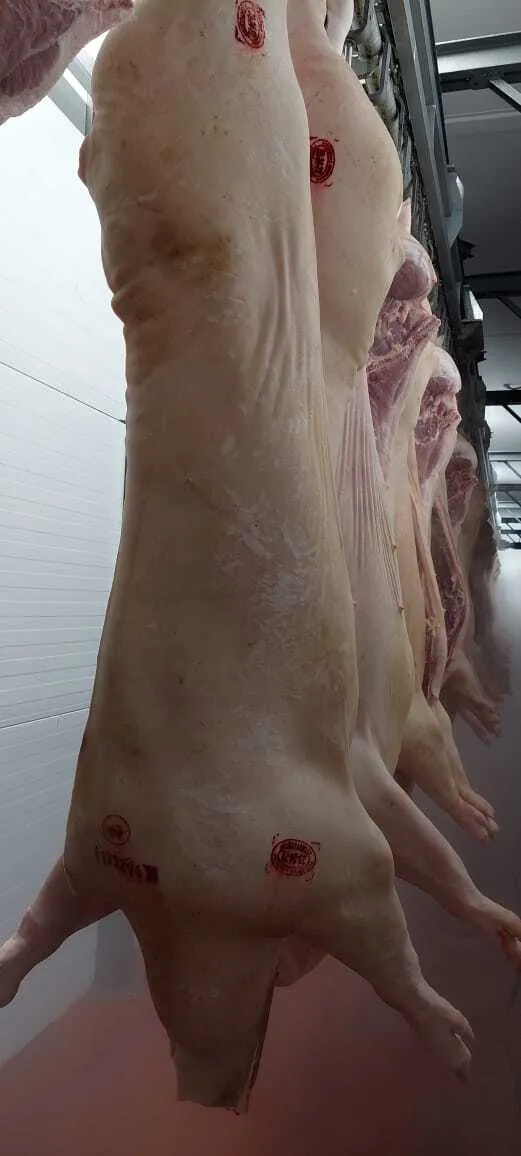 фотография продукта свинина 3 кат в полутуше