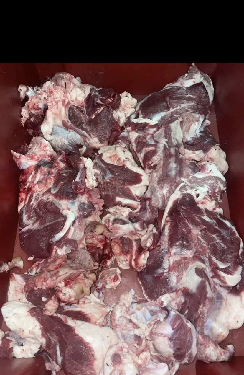 фотография продукта Мясо голов, головное мясо, говяжий 